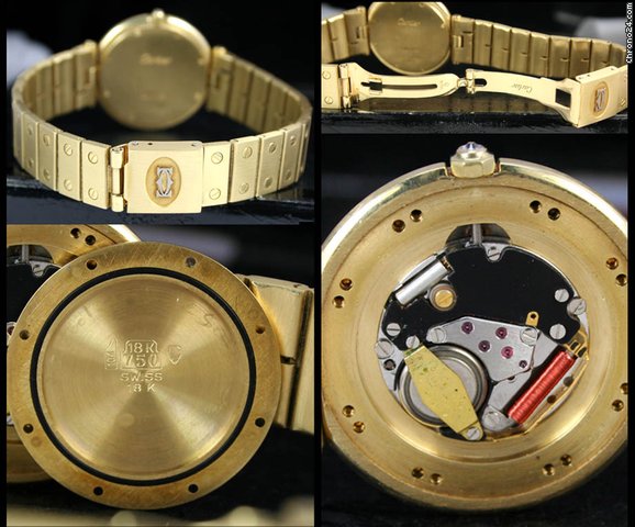 replica Cartier Santos 18k Solid Gold Diamond Dial & Diamond Screws WATCHES 1