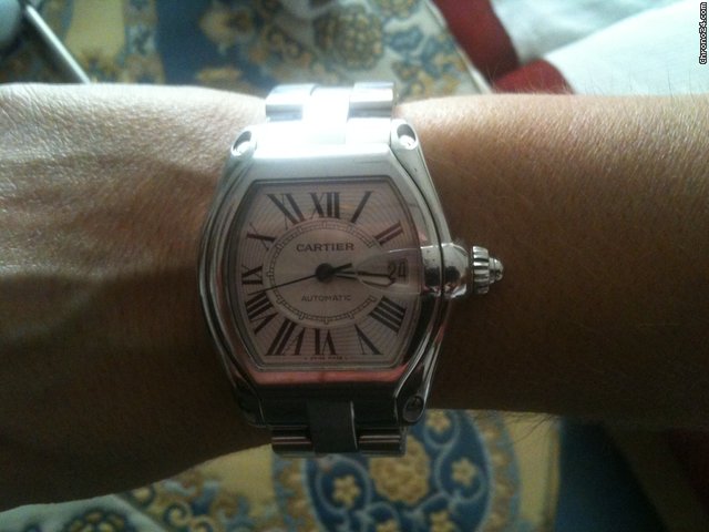 Cartier ROADSTER WATCHES 2