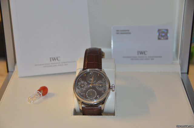 IWC calendrier perpetuel WATCHES 2