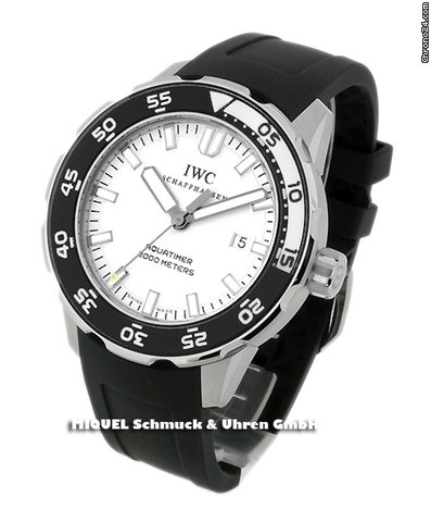 IWC IW356811 Watches Watch