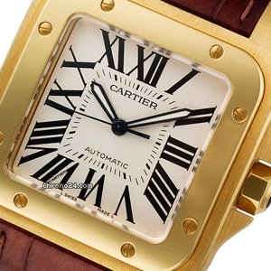 Cartier Santos 100 W20071Y7 WATCHES 2