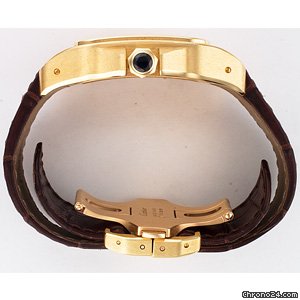 replica Cartier Santos 100 W20071Y7 WATCHES 1