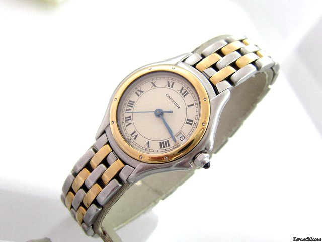 Cartier Cougar Panthere WATCHES 2