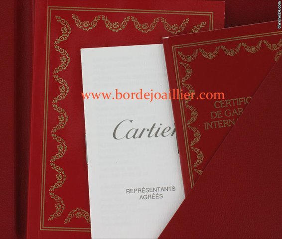 replica Cartier Pasha C Automatic WATCHES 1