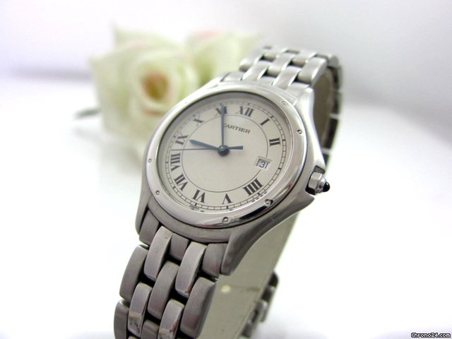 Cartier Cougar Medium Stahl /Stahl WATCHES 2