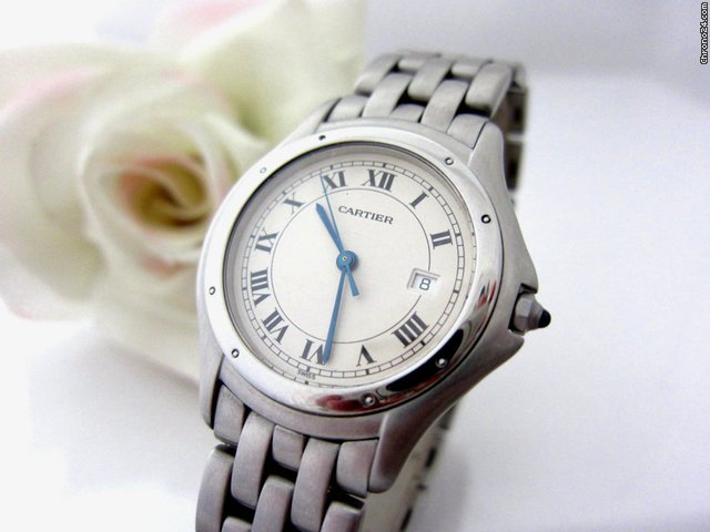 Cartier Cougar Medium Stahl/Stahl WATCHES 2