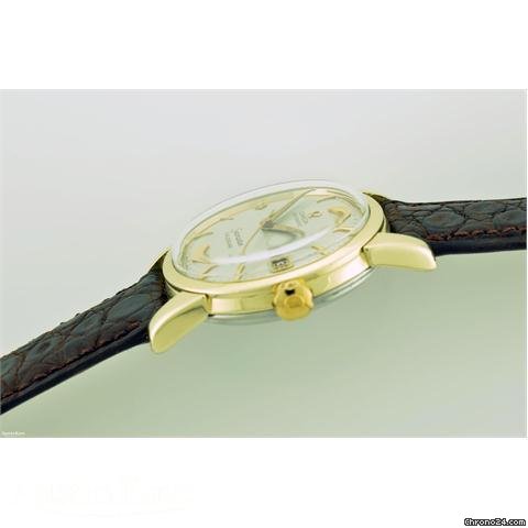 Omega Seamaster Calendar Gold-capped automatic on strap WATCHES 2