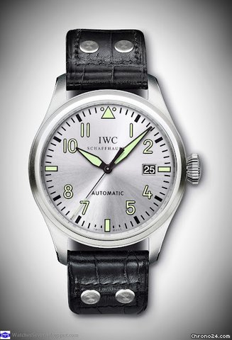 IWC IW325519 Watches Watch