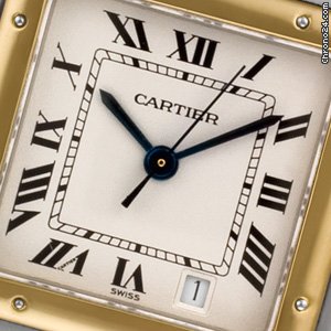 Cartier Panthere W25028B WATCHES 2
