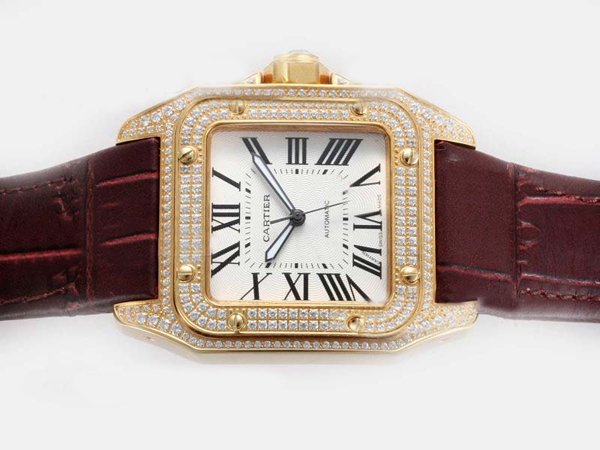 Cartier w20096y1 Watches Watch