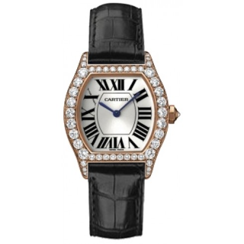 Cartier WA507031 Watches Watch