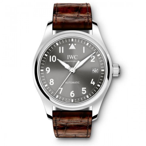 IWC IW324001 Watches Watch