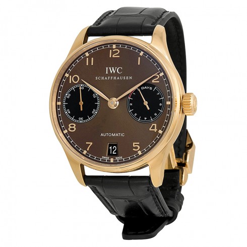 IWC IW500124 Watches Watch